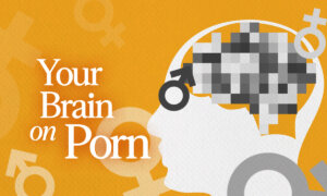 What Does the Brain Look Like on Pornography?