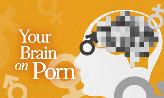 What Does the Brain Look Like on Pornography?
