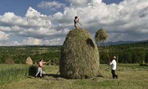 Rick Steves’ Europe: Finding Serendipity in Romania’s Countryside
