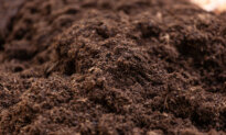Adding Topsoil