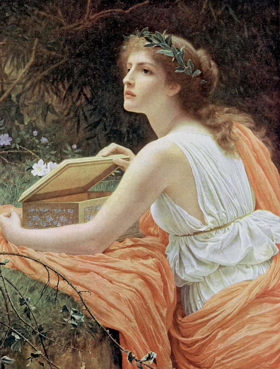 Pandora perugini