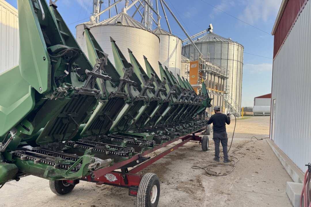 “Farmers Demand Stronger Support from Trump Administration”