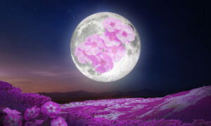 April’s Full ‘Pink Moon’ Will Light Up the Night Sky to Welcome Spring—Here’s What to Know