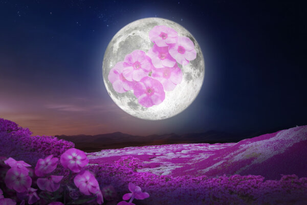 April's Full 'Pink Moon' Will Light Up the Night Sky to Welcome Spring—Here's What to Know