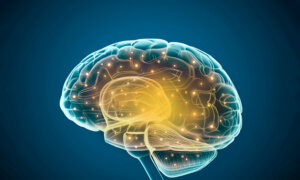 The Surprising Ways Older Brains Can Still Grow Stronger