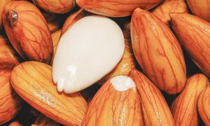 How to Soak and Sprout Nuts and Legumes to Reduce Tannins