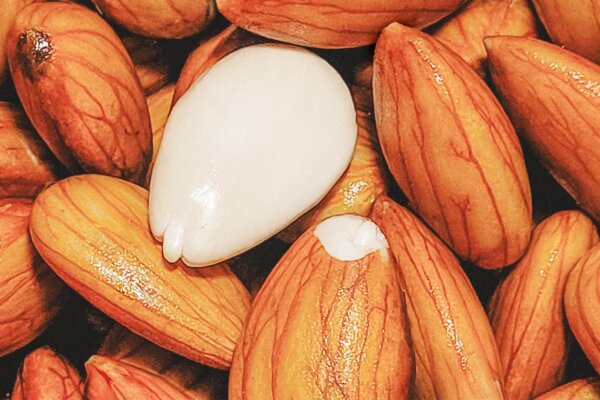 How to Soak and Sprout Nuts and Legumes to Reduce Tannins