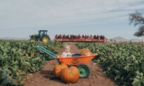 Family Farm Fun in Northern and Southern Arizona