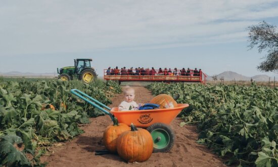 Family Farm Fun in Northern and Southern Arizona
