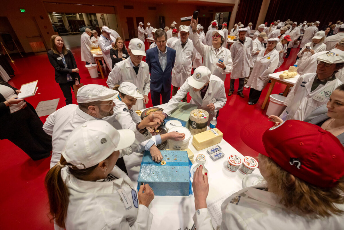 On the count of three, judges dive forward to place poker chips on top of their favored cheeses. “It’s visually dramatic and the judges love it. It’s got far more excitement than typing into an iPad,” says John Umhoefer, director of the Wisconsin Cheese Makers Association.(Courtesy of Wisconsin Cheese Makers Association)