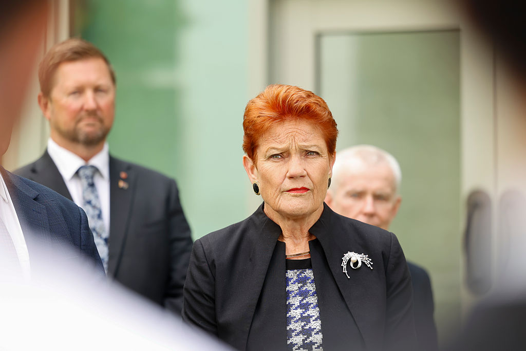Senate Committee Probes Anthropic on Why Hundreds of Pauline Hanson Deepfakes Flooding the Web