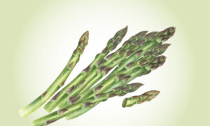 Asparagus: An Antioxidant-Packed Vegetable That Benefits Gut and Bones–How to Get the Most of It