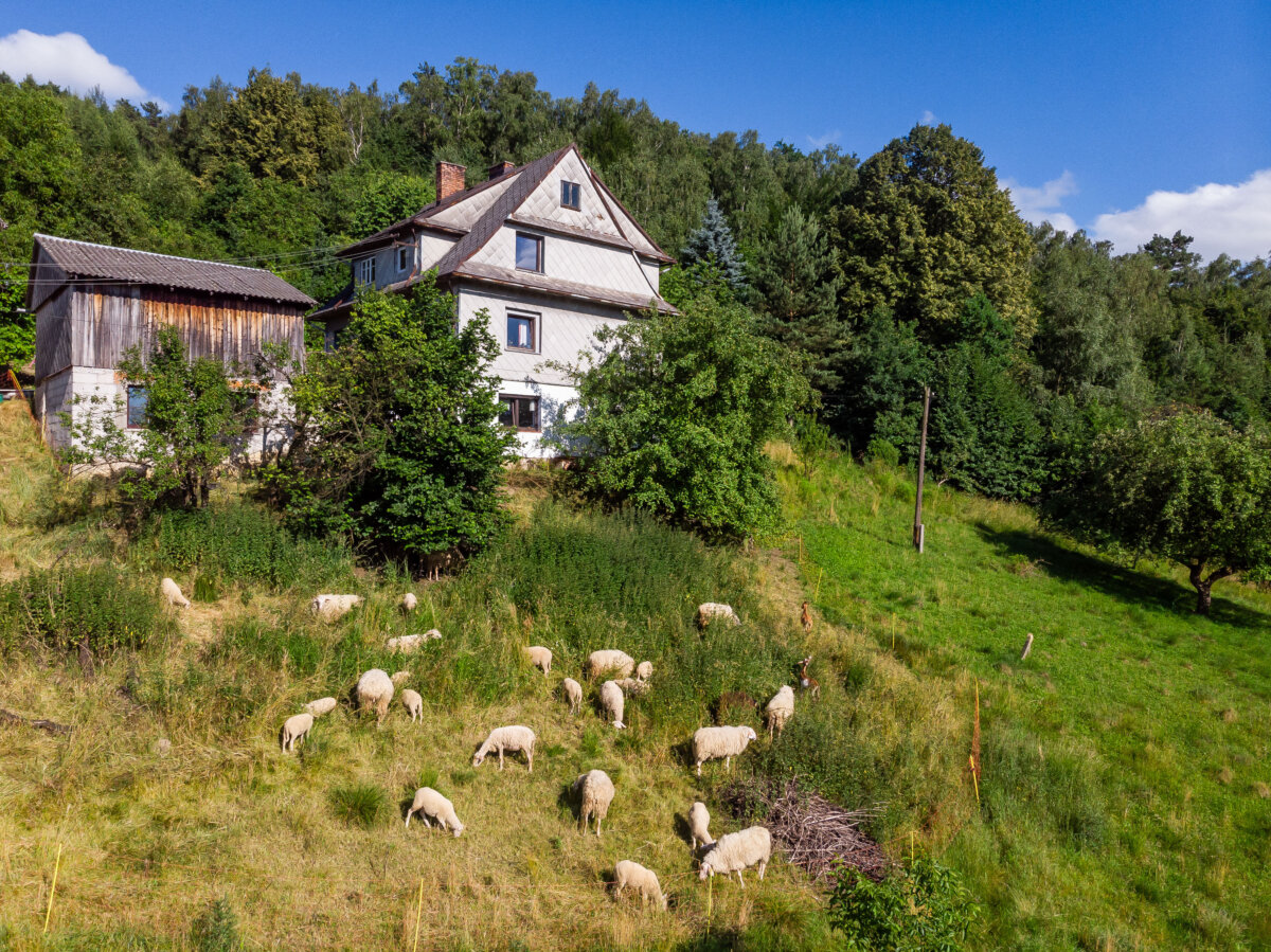 A cheesemaker's farm in Balazowka, Poland, on June 25, 2024. (Wojtek Radwanski/AFP via Getty Images)