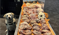 Border Agency Dog Helps Seize 22.5 Kilos of Raw Meat From Traveller