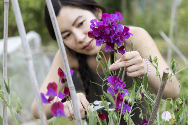 The Rise of ‘Slow Living’