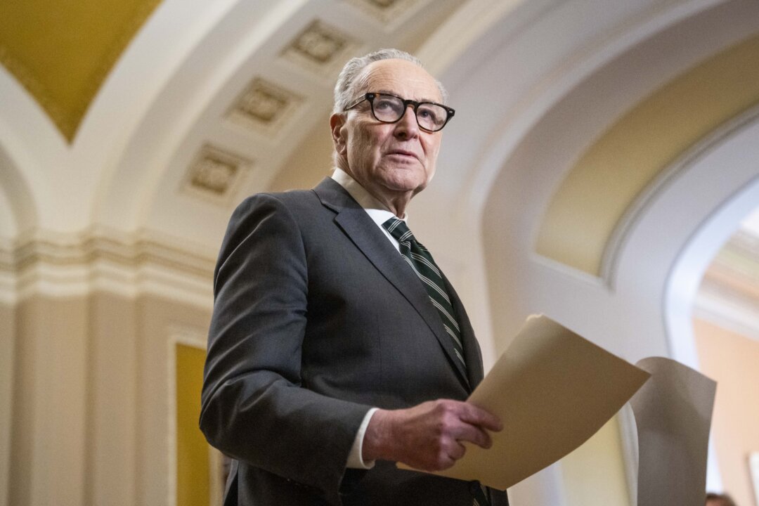 Senate Democrats Send Counteroffer on DHS Funding: Schumer