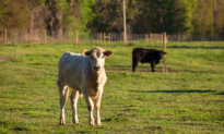 Exploring American Farms at the Natural Products Expo