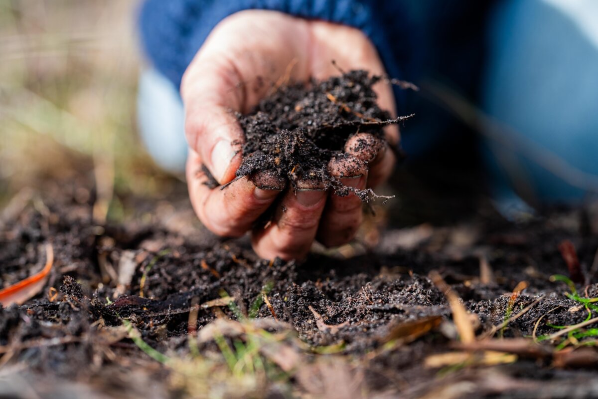 Organic matter is actually a measurement term. Soil scientists measure the amount of organic material in soil by using a burning process. (William Edge/Shutterstock)