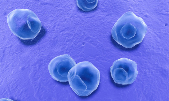 Common Bacteria Linked to Alzheimer’s Disease