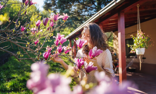 Awaken Your Senses: 5 Ways to Bring Spring Into Your Home