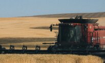 Washington Mill Becomes World’s First Flour Producer to Earn the Climate Label Certification