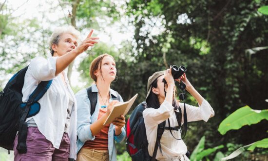 Birding: A Hobby That Gives a ‘Euphoric Effect’ and Relieves Anxiety