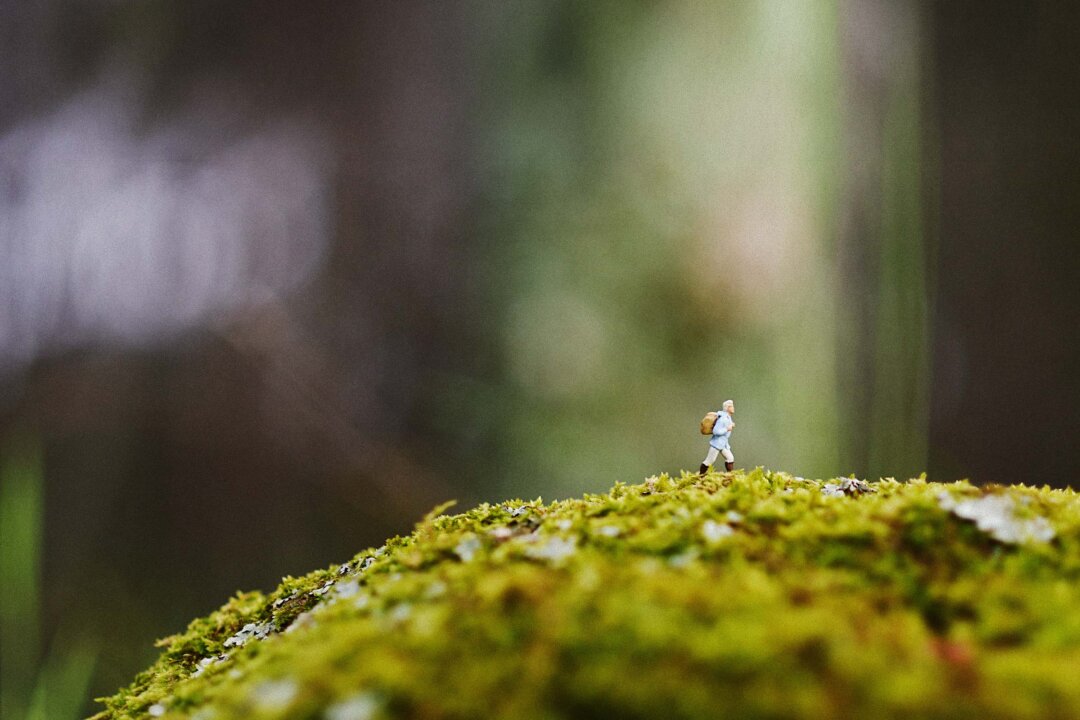 (Lightcube/Shutterstock)