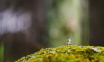 The Quiet Disciplines Behind a Good Life