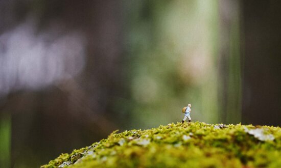 The Quiet Disciplines Behind a Good Life