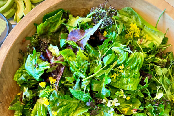 Do Not Underestimate a Green Salad