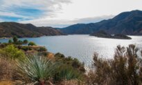 California’s Water Crisis Isn’t a Drought—It’s Bad Policy