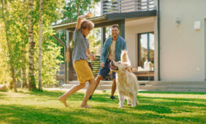 Lawns, Part 1: Selection and Prep