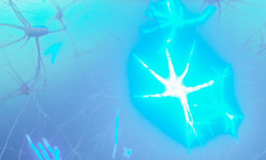 Neuroscience Reveals What You Believe Can Change Your Body