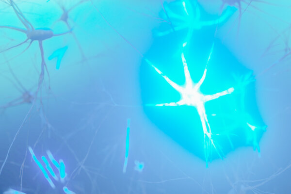 Neuroscience Reveals What You Believe Can Change Your Body