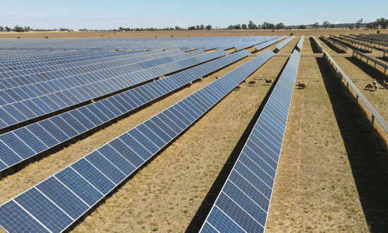 Call for Nationwide Ban on Sending Solar Panels to Landfill Amid Vast Waste Concerns