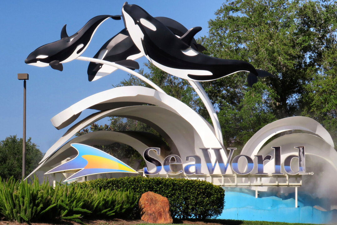 “DOJ Attacks American Values: SeaWorld Parent Company Sued for Banning Traditional Walkers in Parks”