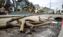 As Infrastructure Damage Mounts, National 811 Day Promotes Calling Before You Dig