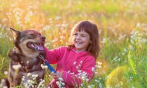 Faithful Companionship: The Case for Having a Dog