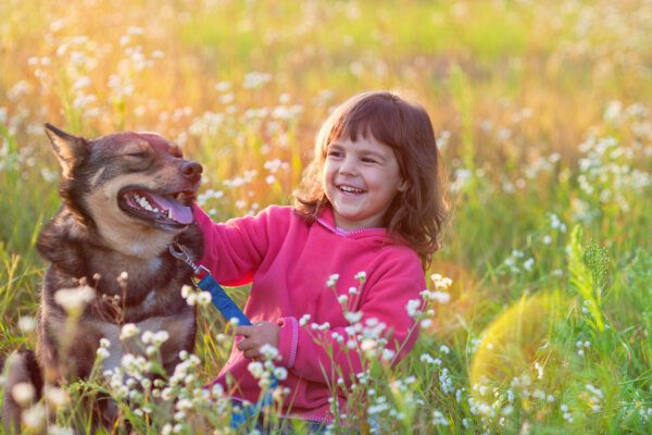 Faithful Companionship: The Case for Having a Dog