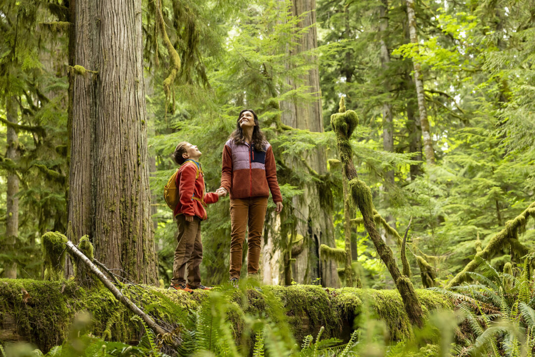 What Small Children Teach Parents