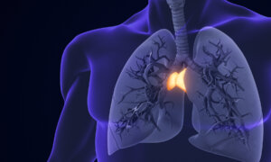 The Overlooked Organ Linked to Longevity