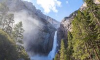 Taking the Kids: What Are Your Vacation Goals?
