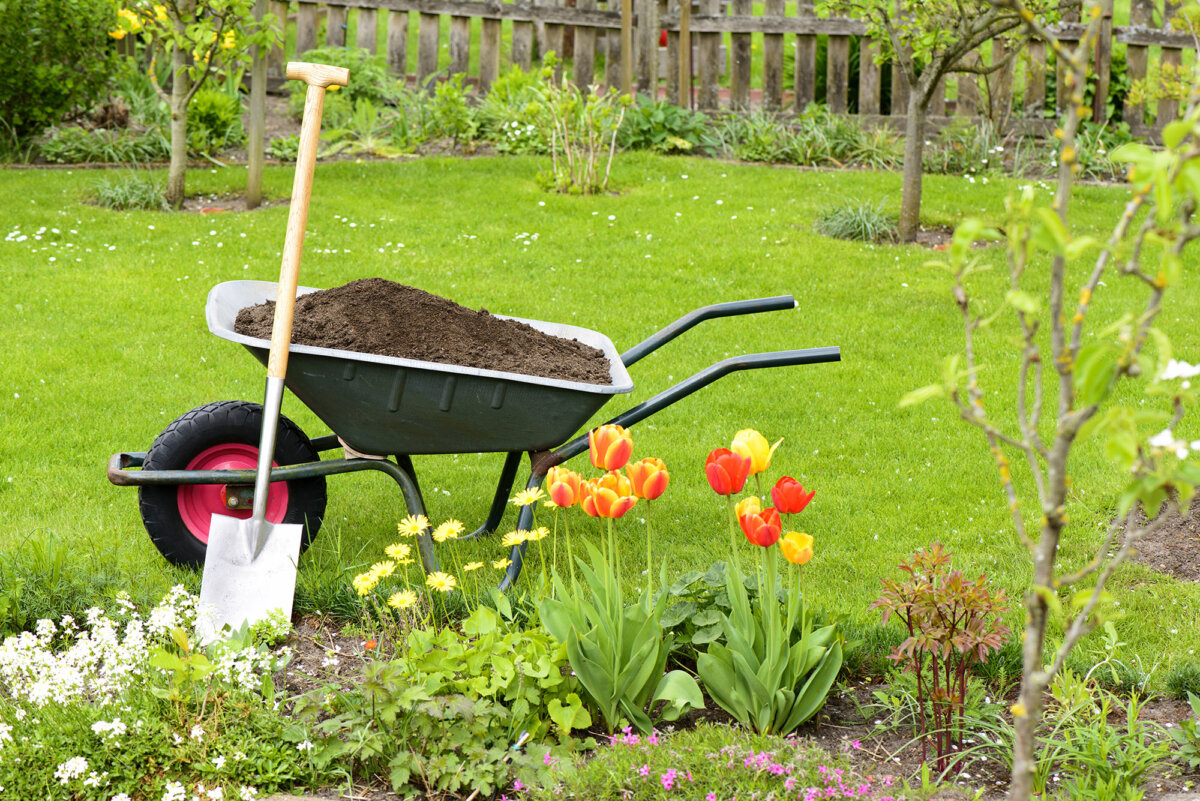 Early spring is a critical time for fertilizing, as plants begin active growth and require nutrients to support root and leaf development. (schulzie/Getty Images)