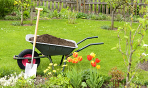 Fertilizer Fundamentals: A Lush Lawn and Blooming Garden Start Now