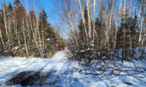 As More Copper Wire Thefts Knock out Service, Some Point Fingers at Scrap Yards