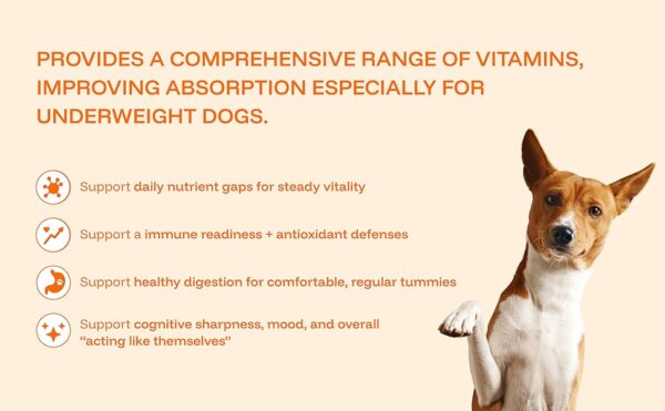 Dog Owners Choose PawPrint Protocol to Reverse Their Dog's Aging
