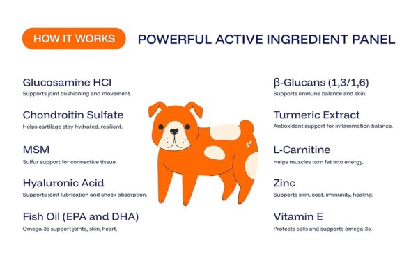 Dog Owners Choose PawPrint Protocol to Reverse Their Dog's Aging