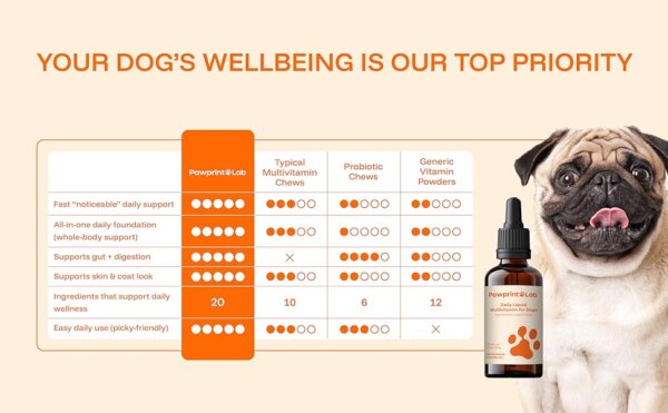 Dog Owners Choose PawPrint Protocol to Reverse Their Dog's Aging