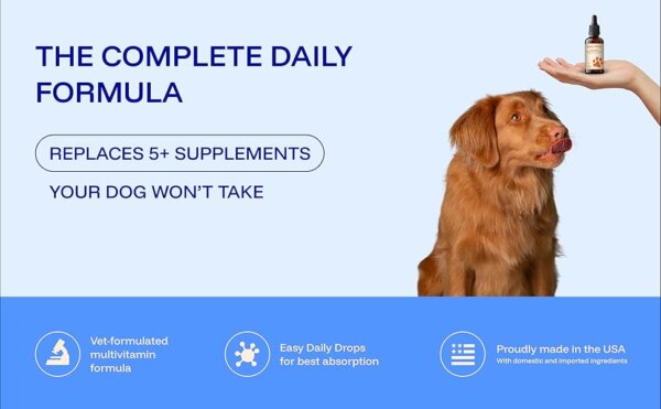 Dog Owners Choose PawPrint Protocol to Reverse Their Dog's Aging