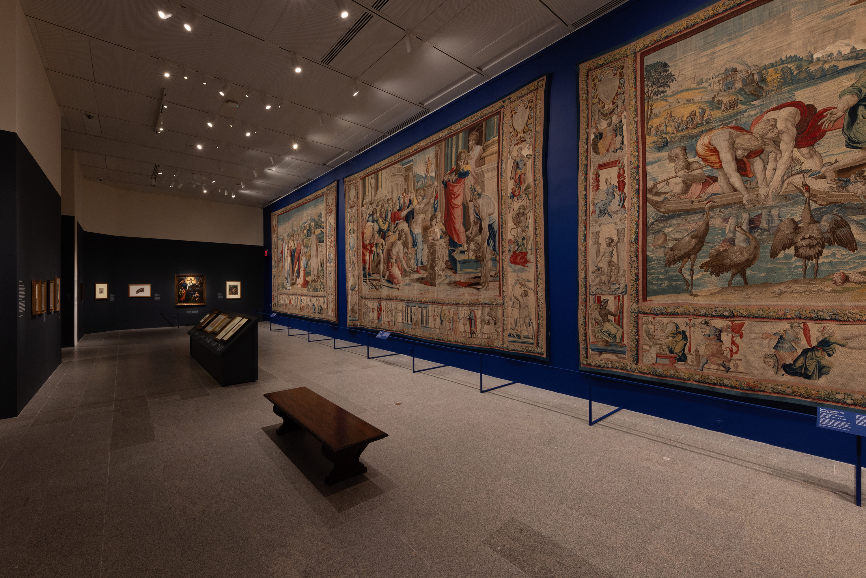 Raphael: Sublime Poetry